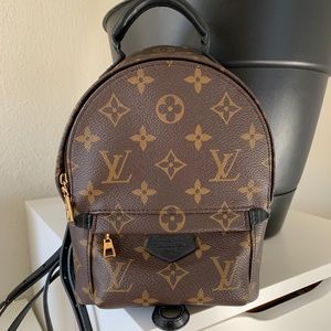 Louis Vuitton Palm Springs Mini